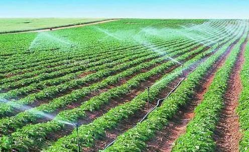 操骚妇的b农田高 效节水灌溉